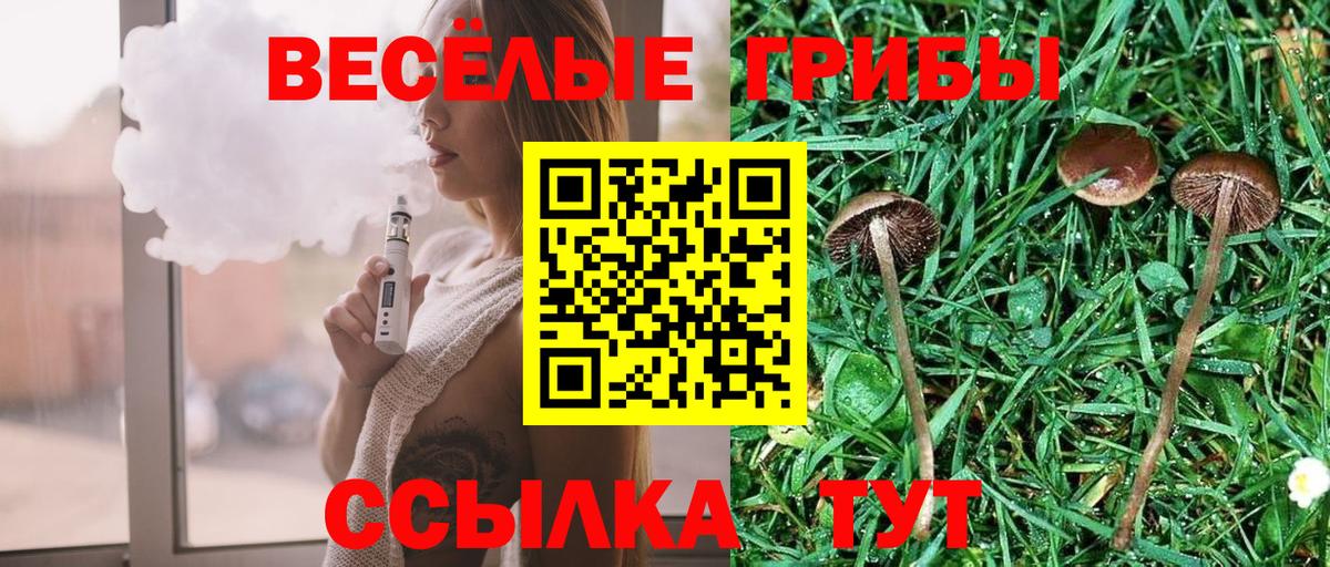 Чусовой  Галлюциногенные грибы MAGIC MUSHROOMS  закладки  Вход с VPN  Галлюциногенные грибы Magic Shrooms 